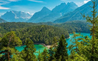 SAVE THE DATE: samwin Business Forum 2024